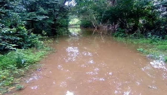 Mamou-Kegneko: Deux (2) jeunes meurent suite à une noyade dans le fleuve Tigué