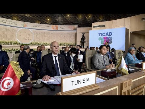 Le Japon avocat de l’Afrique à l’ONU