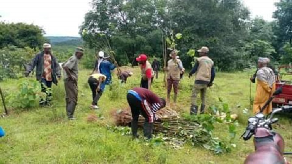 N’Zérékoré/Société: Le CIRIT-GUINEE se mobilise  pour une opération d’assainissement et de reboisement