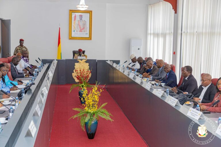 Guinée : Colonel Mamadi Doumbouya dénonce la lenteur des procédures administratives