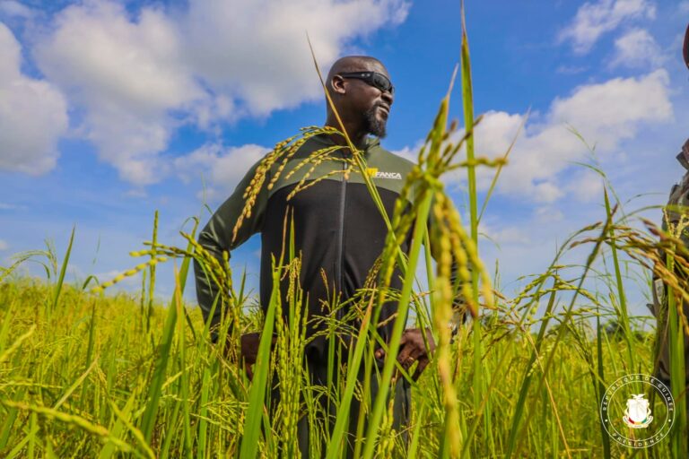 Forécariah/Entrepreneuriat : Le Chef de l’Etat visite sa plantation de 59 hectares à Fanyé