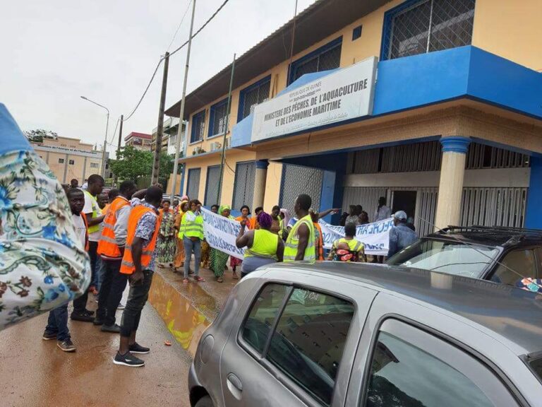 Guinée/Pêche : Bientôt  le  lancement des activités du projet de Gestion des zones marines  et côtières de l’Afrique du Nord et de l’Ouest en  Guinée