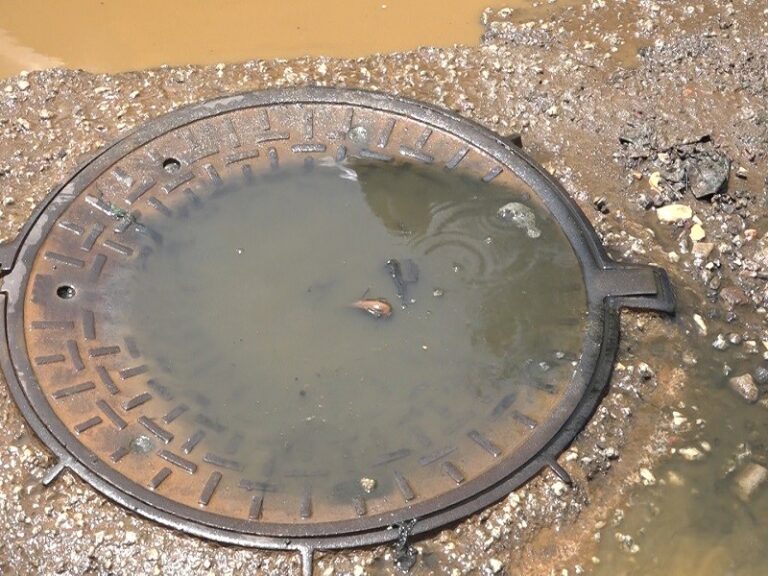 Conakry-Insalubrité : Les eaux usées  de Coronthie dans la commune de Kaloum