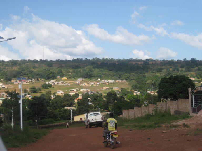 Koubia/Société: Un corps sans vie retrouvé entre deux villages de Fafaya