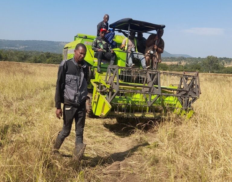 Koubia-Agriculture : Lancement de la campagne de moisson mécanisée du riz