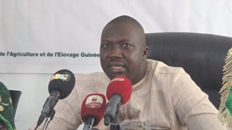 Guinée/Agriculture : Le ministre annonce  l’acquisition de 100 tracteurs et 100 moissonneuses