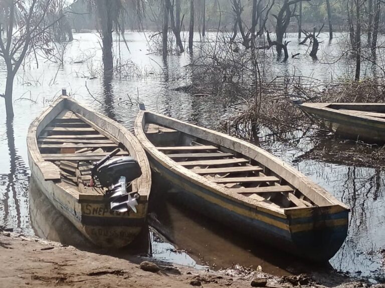 Kindia/Bangouya : Trois morts dans le naufrage d’une pirogue