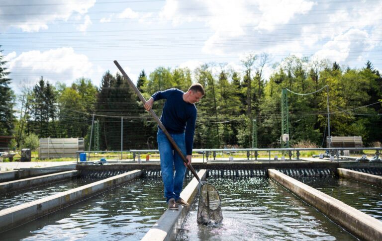 Le Rwanda inaugure une ferme piscicole pour accélérer l’aquaculture