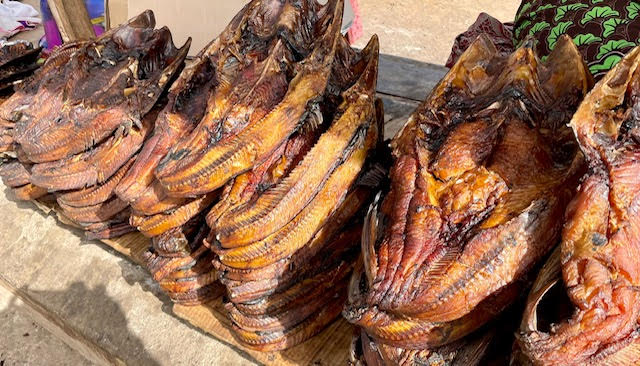 Guinée/société : Le poisson Machoiran ou ‘’Konkoé’’ est-il un patrimoine de la Guinée ?