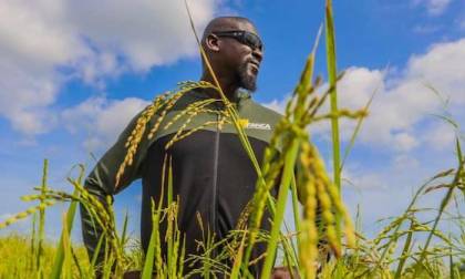 Guinée/Agriculture : Le Chef de l’Etat met sa récolte à la disposition des cantines scolaires (communiqué)