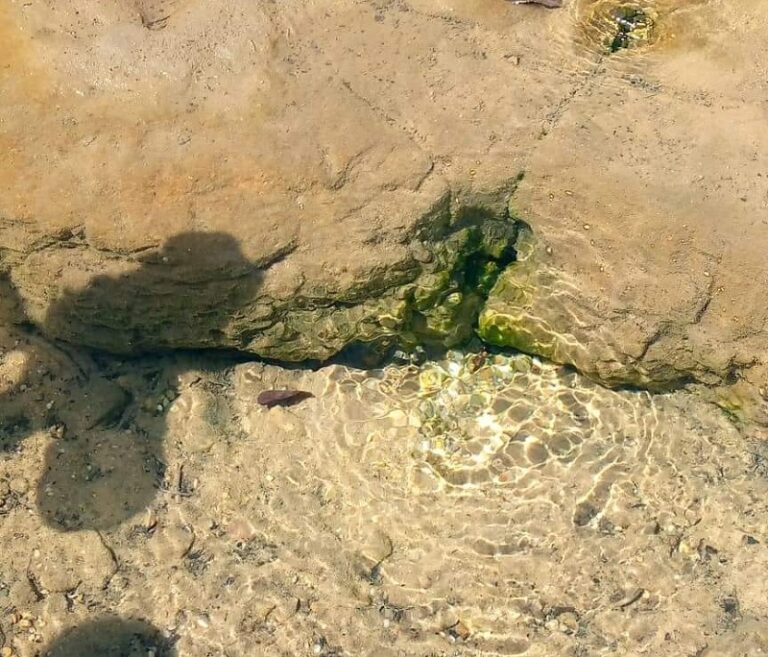 Boffa: Une source d’eau « bénie » à Lakhata