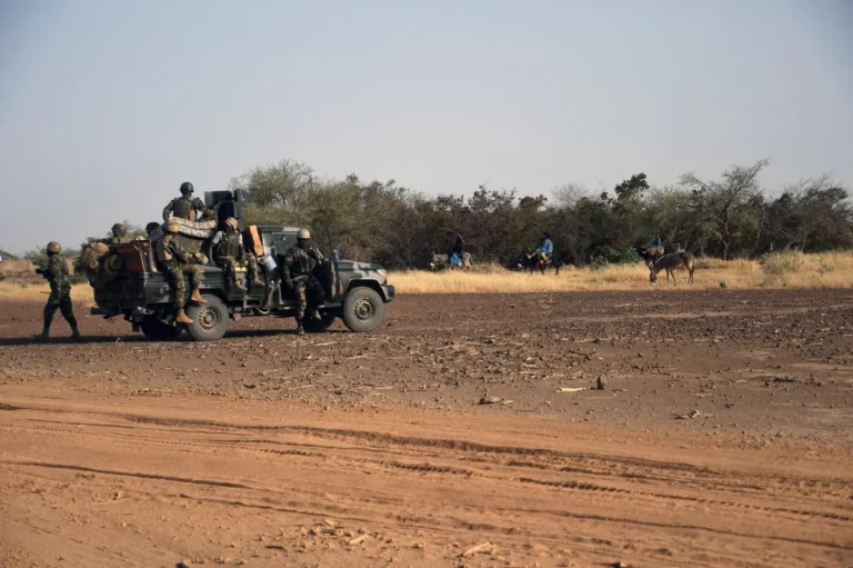 Niger : l’armée affirme avoir tué 79 « terroristes » près du Mali