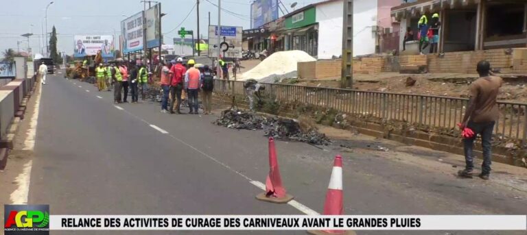 TRAVAUX DE CURAGE DES CANIVEAUX