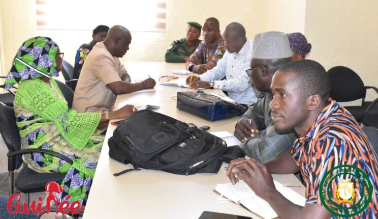 Guinée/Eruptions cutanées des pêcheurs: la ministre de l’environnement implique ses services