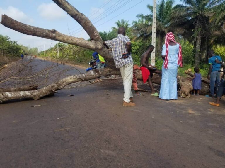 Boké/Electricité:   Encore des barricades dans les rues de Kolaboui