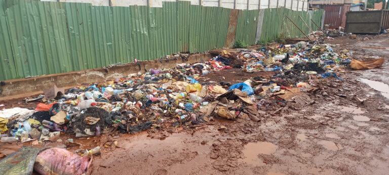 Conakry/insalubrité: Des rues du quartier Cité de l’Air transformées en dépotoirs d’ordures