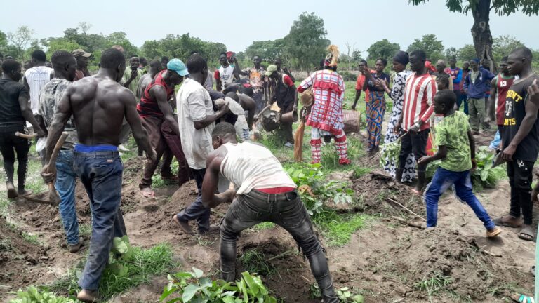 Kankan/Agriculture : Lancement de la campagne agricole 2023-2024, les producteurs satisfaits de l’appui du gouvernement