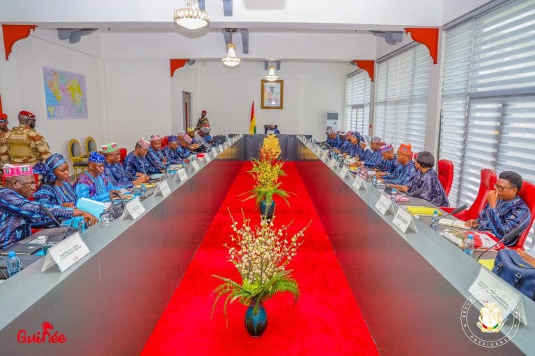 Guinée: Les  grandes lignes du conseil des ministres du jeudi 06 juillet 2023