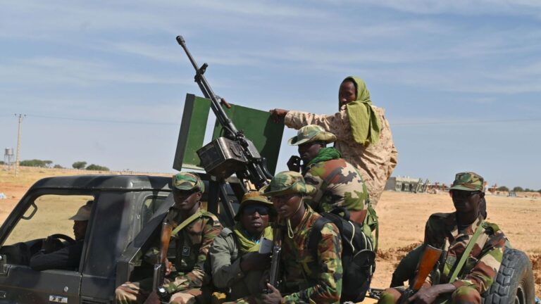 Mali : des soldats tués dans une embuscade djihadiste près du Niger
