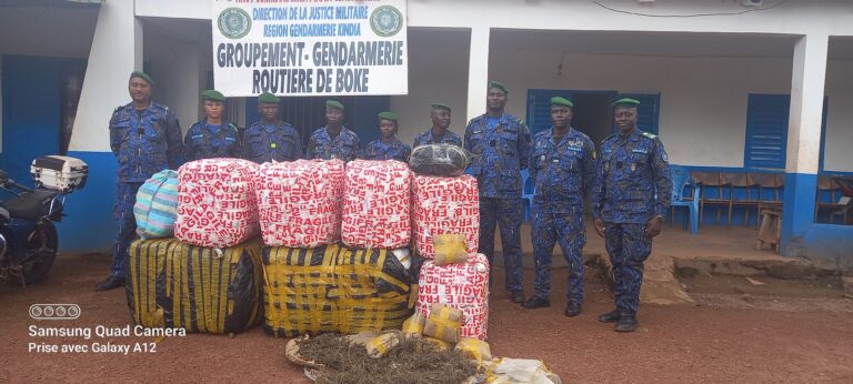 Boké/Drogue: La Gendarmerie routière présente  plus de 478 Kg du chanvre indien saisis sur un poste de contrôle