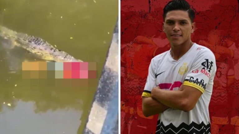 Un footballeur meurt attaqué par un crocodile au Costa Rica