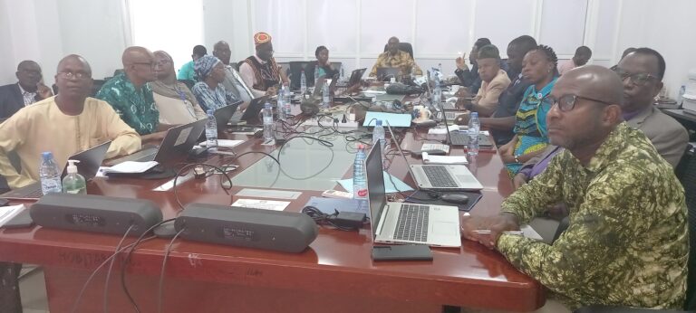 Guinée/Santé : début de la supervision des activités des Projets COVID-19 et PRSCS par une mission de la banque mondiale