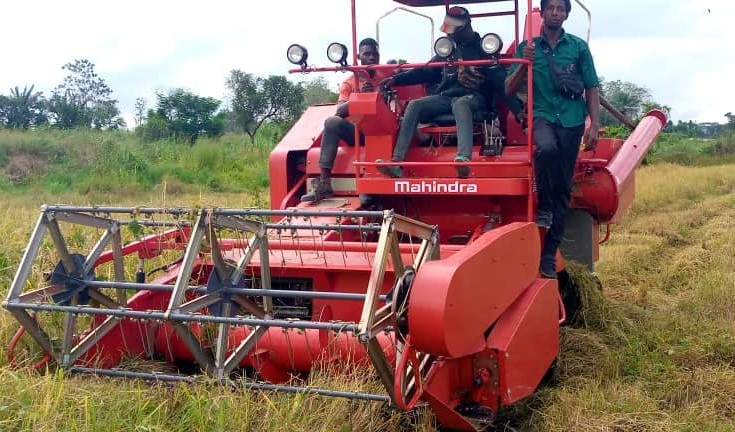 Macenta : Lancement des activités de moisson du champ de riz de l’ENAE