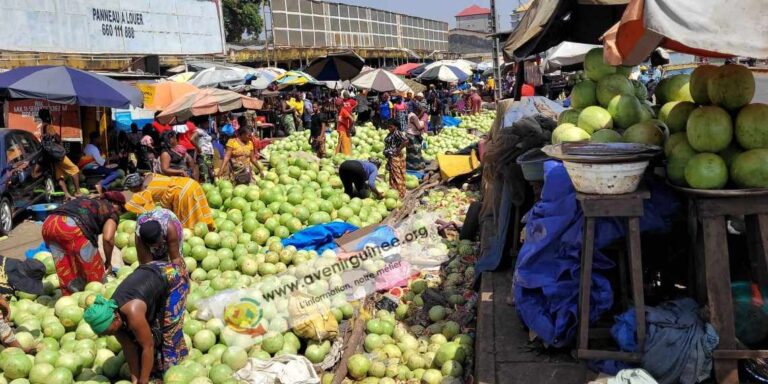 Conakry/Matoto : Cri de cœur des femmes vendeuses de pastèques au marché aviation