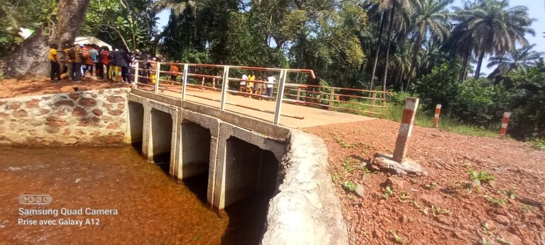 Boké-Infrastructures: Des projets communautaires continuent de naître sur   le long du Chemin de fer Dapilon-Santou