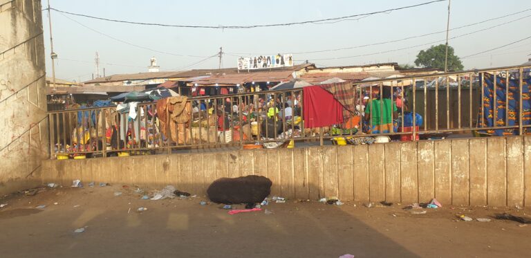 Conakry/Les citoyens se plaignent d’une odeur nauséabonde au niveau du pont de Gbessia