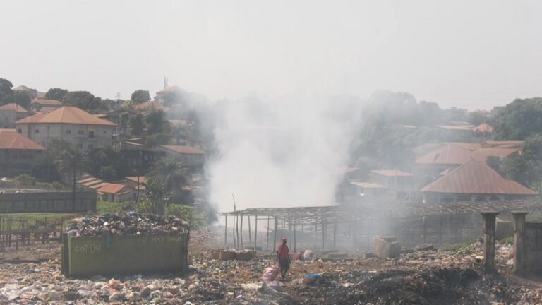 Conakry : Les vendeurs de bétails  d’Enta recasés au Km36 inquiets pour la santé de  leurs animaux