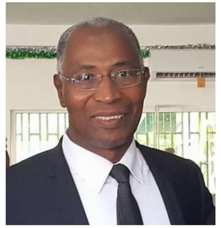 Guinée: Biographie du nouveau Premier Ministre Amadou Oury Bah 