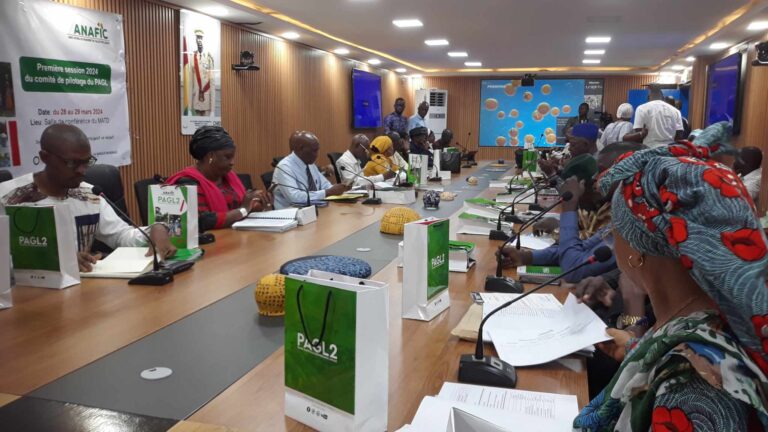 Guinée : Le comité de pilotage des projets de l’ANAFIC tient sa première session