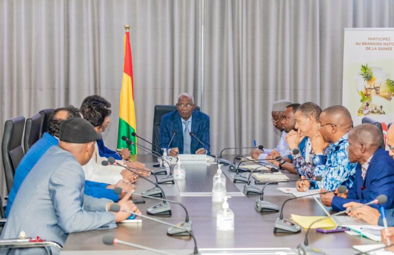 Guinée:Un groupe d’investisseurs Sri lankais reçu par le premier Ministre
