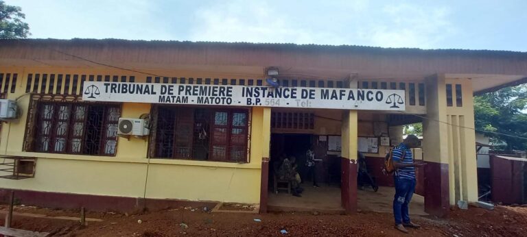 Conakry/TPI de Mafanco: Un policier condamné à 6 mois d’emprisonnement pour ‘’atteinte sexuelle sur mineure’’