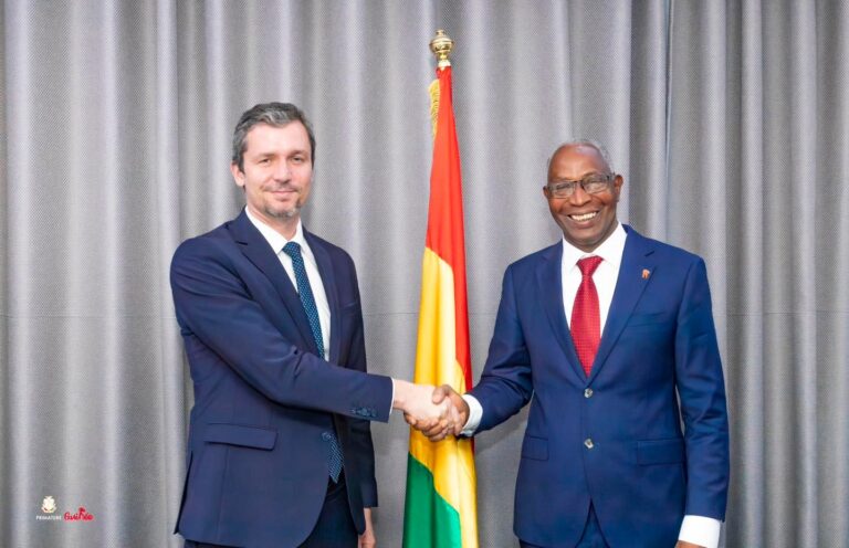 Guinée: Le conseiller France-Afrique du Président Macron réaffirme l’engagement et la solidarité de son pays envers la transition guinéenne