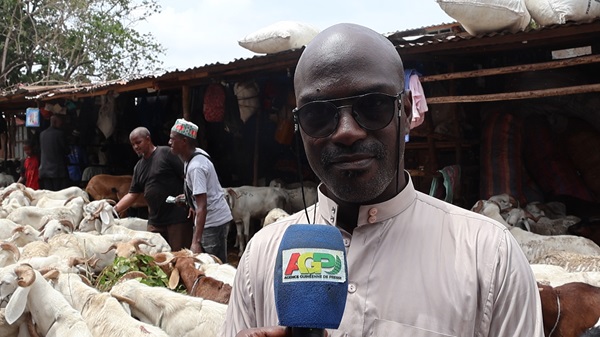 Guinée/ Tabaski : Les prix des moutons varient selon la taille et les parcs à bétail (Constat)