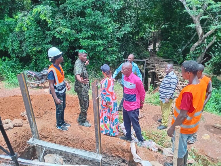 Fria : Construction d’une passerelle pour désenclaver le district de Kolonfikhè