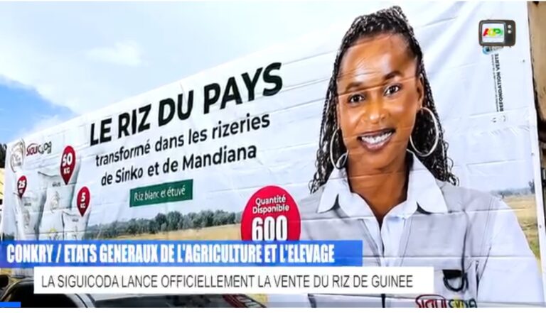 AGRICULTURE : LA SIGUICODA LANCE OFFICIELLEMENT LA VENTE DU « RIZ DE GUINÉE »