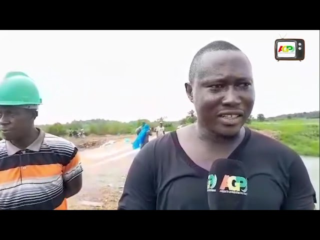 Forécariah/Kakossa : Les cultivateurs accusent une société de l’inondation de leurs champs de riz