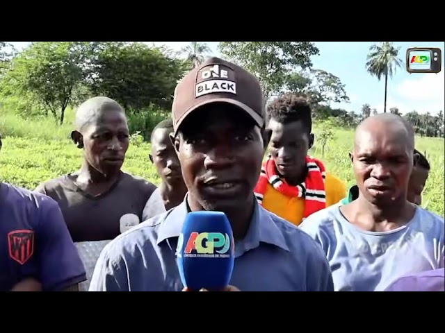 KINDIA / BANGOUYA : Remontée des eaux du barrage de Souapiti : Les habitants de la localité vivent des moment difficiles.