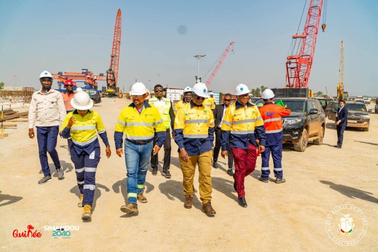 Guinée/Programme Simandou 2040: Visite guidée des experts des cabinets conseil et des banques d’affaires internationales Rothschild, SouthBridge et KPMG à Forécariah