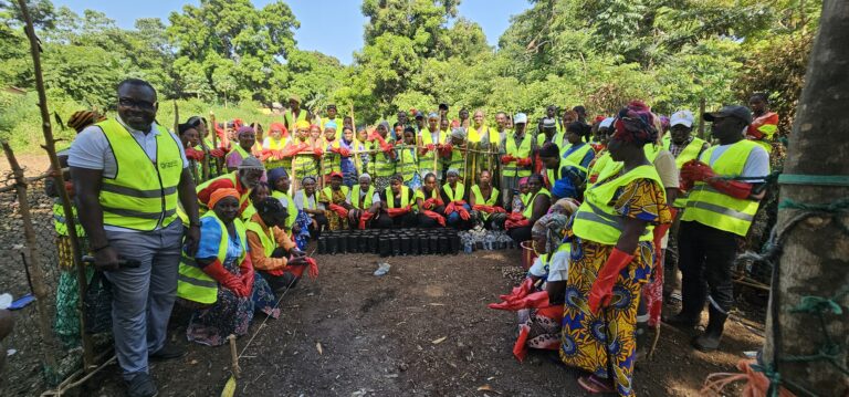 Conakry/ONFPP : 100 jeunes formés en techniques de création de pépinières forestières sur l’Ile de Kassa