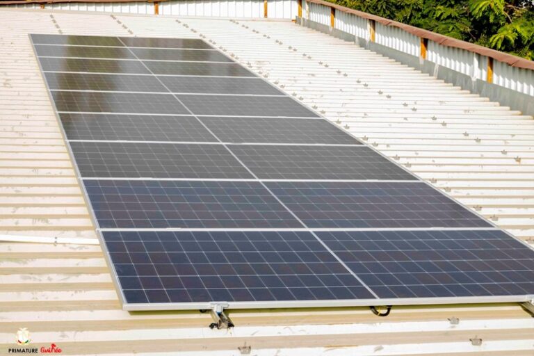 Guinée : L’entreprise ‘’Royal Nouvelle Énergie’’ offre des panneaux solaires d’une capacité de 30 KVA au PN-RAVEC