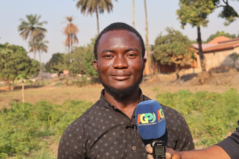 Kindia : Théophile Kalivogui, jeune entrepreneur agricole explique les difficultés d’accès à la terre