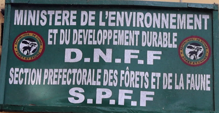 Kindia/Environnement: 52 hectares reboisés en 2024 à l’échelle de la préfecture (Bilan de la SPFF)