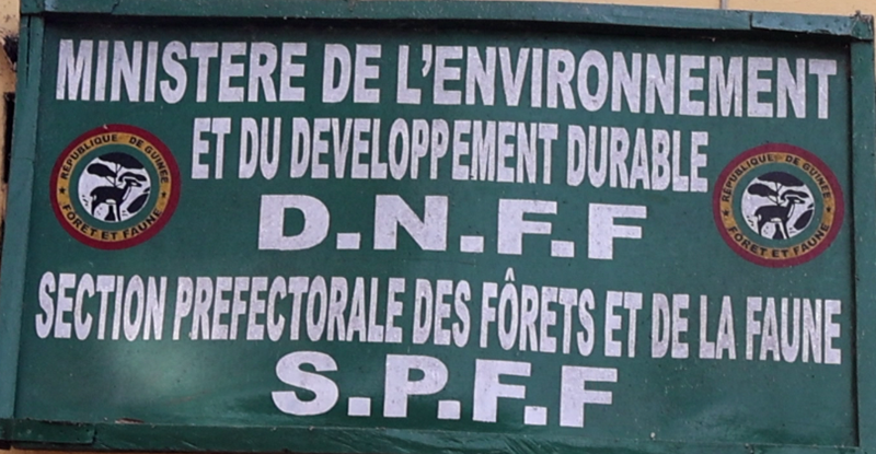 Kindia/Environnement: 52 hectares reboisés en 2024 à l’échelle de la ...
