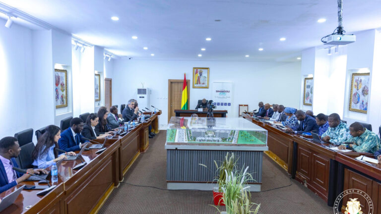 Guinée: Tenue de la 2ème rencontre entre les cabinets internationaux KPMG, Rothschild, SouthBridge et le Comité Stratégique de Simandou