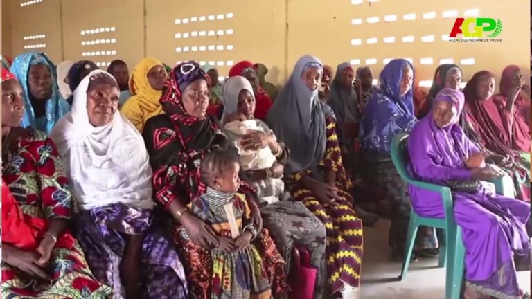 Pita/ Gongorè :   L’Association Femmes bhantal Pita pour le développement offre un fauteuil roulant à sa représentante de Gongorè
