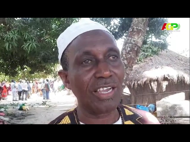 Boffa / Drame : une mère de famille tu.é.e par une branche d’un manguier à Yampony